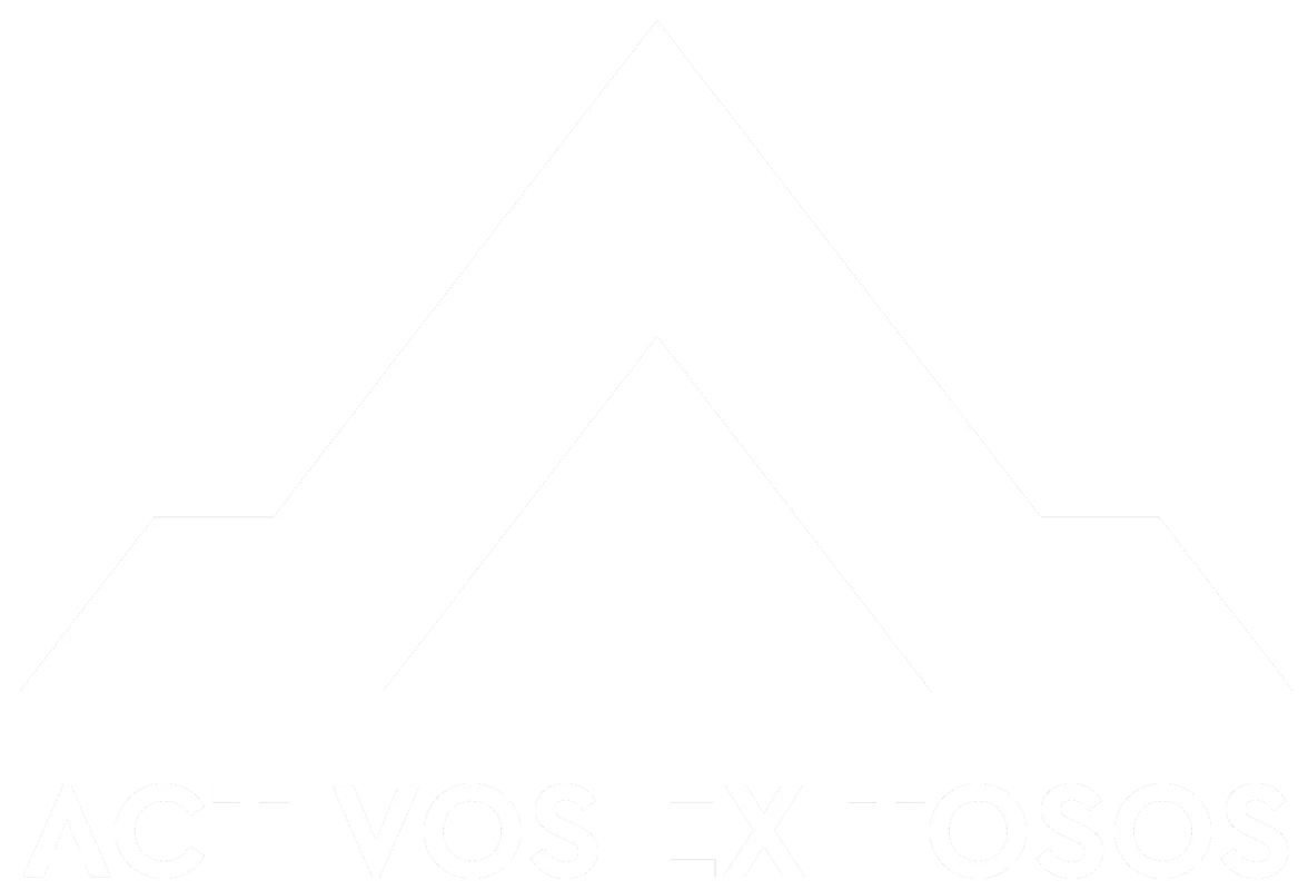 Activos Exitosos